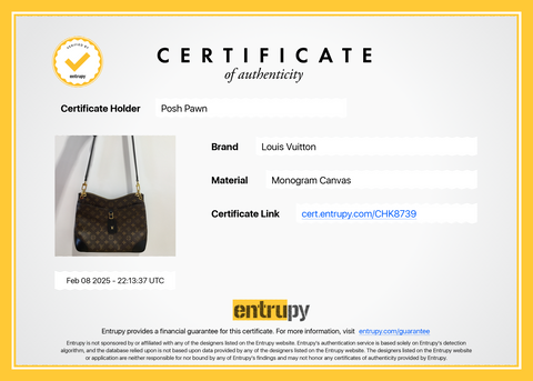 Authentic Louis Vuitton Monogram Odeon MM