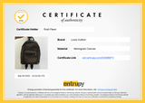 Authentic Louis Vuitton Monogram Macassar Josh Backpack