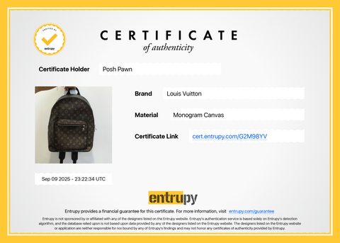 Authentic Louis Vuitton Monogram Macassar Josh Backpack