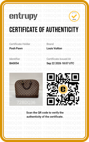 Authentic Louis Vuitton Damier Ebene Alma PM Handbag