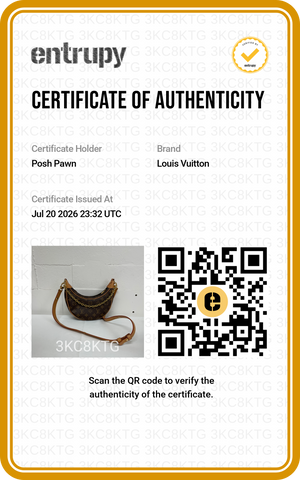 Authentic Louis Vuitton Monogram Canvas Loop Crossbody Bag