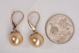 Ladies 14k Yellow Gold Golden South Sea Cultured Pearl Dangle Earrings