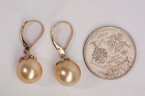Ladies 14k Yellow Gold Golden South Sea Cultured Pearl Dangle Earrings
