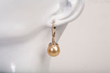 Ladies 14k Yellow Gold Golden South Sea Cultured Pearl Dangle Earrings