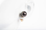 Ladies 14k Yellow Gold Tahitian Pearl Stud Earrings