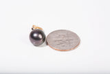 Ladies 14k Yellow Gold Tahitian Pearl Stud Earrings