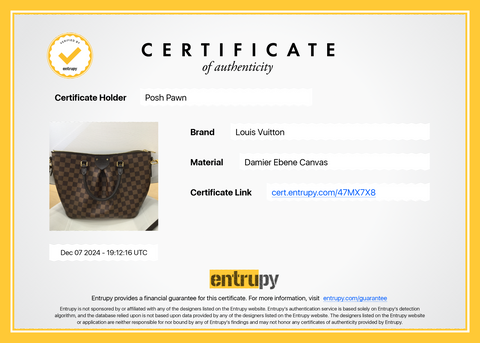 Authentic Louis Vuitton Damier Ebene Sienna MM Shoulder Bag